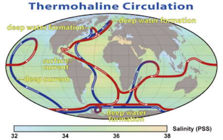 Possible Global Deliberate Shutdown of the Thermohaline Circulation